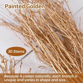 Real Dried Birch Twigs - Painted Golden Decorative Birch Branches for Vase, Centerpiece, Wedding Decor, Sticks for DIY Crafts, Flower Arrangement, Plants for Rustic Home Decor (30 Stems, 15" -17")