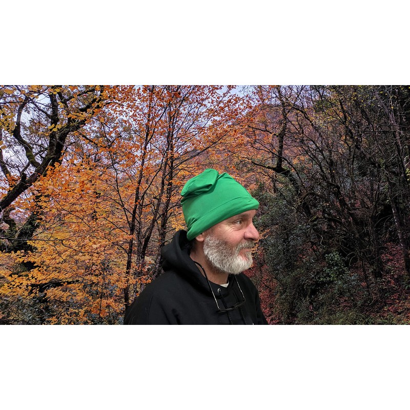 Fancy Pants FunTime Dwarf Costume Hat, Green