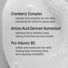 ORIBE Supershine Hydrating Shampoo Travel