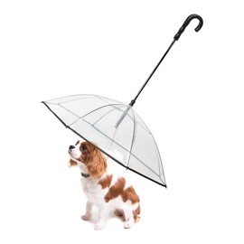 LESYPET Small Dog Umbrella, 29" Width Clear Dogs Umbrella Waterproof Dog Raincoat with Leash for Outdoor Walking Rainy Days