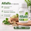 Alfalfa N2000 500 mg, 90 Cápsulas, Concentrado de Alfalfa Liofilizada
