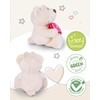 NICI Cuddly Toy Bear Have You Love 15 cm, Teddy
