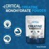 Critical Supplements Creatine Monohydrate Powder 300g (60 x 5g Servings)