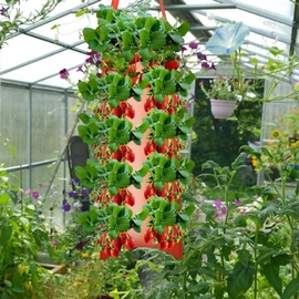 Strawberry Hanging Planter Upside Down,Tomato 4/8 Planting Holes Strawberry Grow Bags,Strawberry Pot Upside Down Growing Bags Sturdy Handle Thickened Breathable for Carrot Onion Tomato