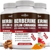 Berberine HCL Plus Ceylon Cinnamon Turmeric Licorice Extract, Gymnema Sylvestre,