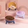 Raised Cat Bowl Pet Feeder Pet Bowl Elevated Dog Bowls
