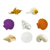 Seashells