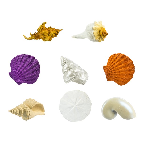 Seashells