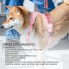Dog Lift Harness Adjustable Safe Comfortable Puppy Hind Leg Support