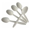 Cuchara Pastelera Cafetera Bca Desechable 100pz Plastikin