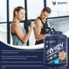 Scifit Proteína 100% Whey 5lbs 24 G Proteína | 61