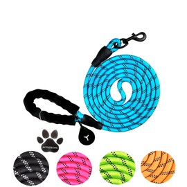 Strong Dog Lead, 3 M/2 M, Suitable for Medium and Large Dogs, with Comfortable Padded Handle and High Reflective Line (Blue, 2 m x 12 mm)