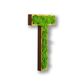 Acryltypo Moosly® Wooden Letter - T - with Wooden Frame, Moss Decorative Letters Sign Symbol Number - Wooden Letter with Real Iceland Moss - Wall Pictures Living Room Decoration Wall Pictures Living