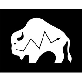 Native American Buffalo Vinyl Decal | White | Made in USA by Foxtail Decals | for Car Windows, Tablets, Laptops, Water Bottles, etc. | 4.5 x 3.4 inch