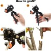 Unbranded Grafting Tools, 2 in 1 Gardening Scissors Cutting Tool