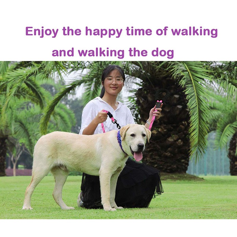 MMSGA Strong Dog Leash for Medium Large Dogs Heavy Duty，5