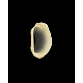 Aesop Reverence Aromatique Hand Balm 500mL | Woody Aromatic Moisturizing Formula