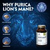 PURICA - Lion's Mane - 120 Count (Pack of 1)