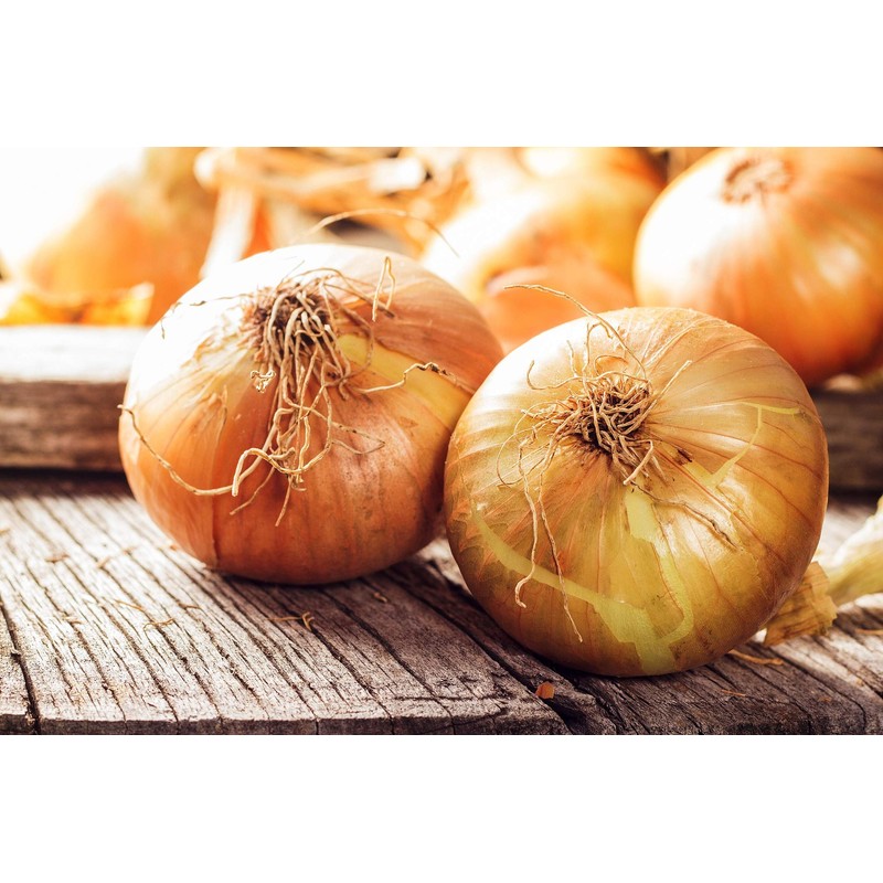 Walla Walla Sweet Spanish Onion Seeds, 300 Seeds Per Packet,