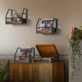Vinyl Record Storage, 2 Pack Record Holder Wall Mount, Stackable Vinyl Holder for Display, Record Crate, Storage Organizer, Album Storage for LP Crates, Books, Files, Ornaments