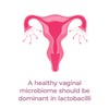 PrecisionBiotics Daily Women's Flora - Probiotics for Women - with