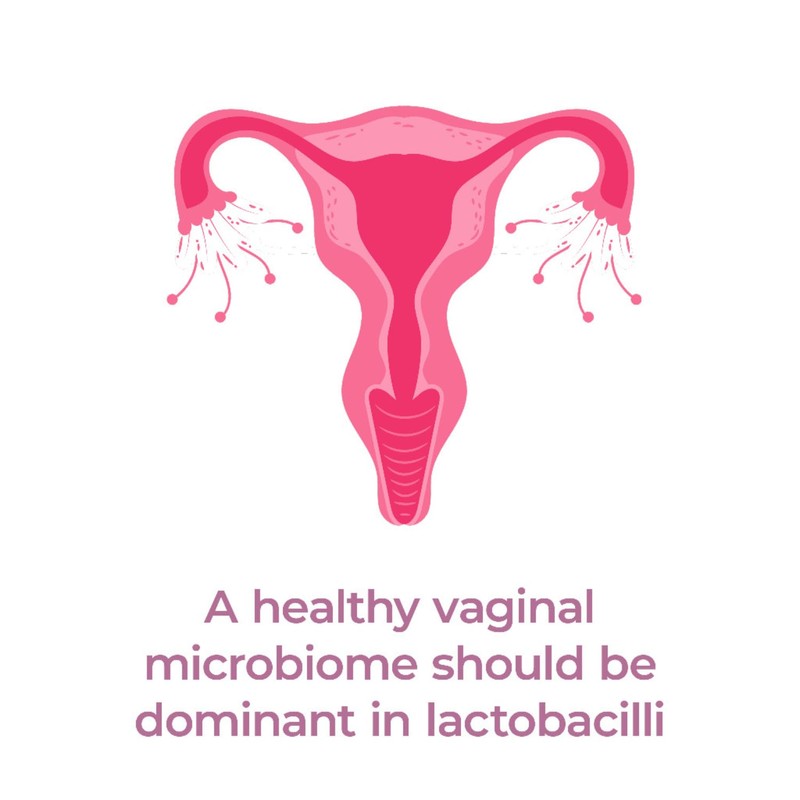 PrecisionBiotics Daily Women's Flora - Probiotics for Women - with