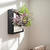 Awesome Plant Wall Garden 4 Vertical Wall Planter, 4 Pots
