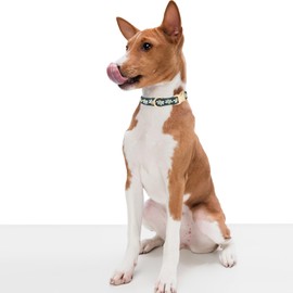YUDOTE Soft Corduroy Dog Collar with Jacquard Ribbon Premium Patterned Floral Collars for Medium Dogs Daily Use,Green