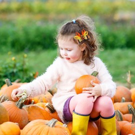 Thanksgiving Turkey Bow Clip for Girls Glitter Turkey Hair Bow Clip Thanksgiving Hair Accessories for Baby Hair Clips Alligator Clip Non-slip Fall Thanksgiving Gift for Hair 2Pcs