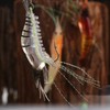Luminous Soft Shrimp Baite Luminous Bionic Shrimp Bionic Shrimp Soft