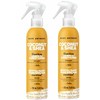 Hydrating coconut oil & shea butter detangle leave-in 250ml 2pack