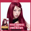loreal L’Oreal Paris Excellence Parisian Chic 2pcs / 로레알파리 엑셀랑스