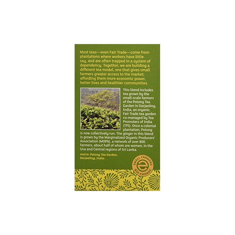 Equal Exchange Organic Green Tea with Ginger, 20 Count