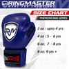 RingMaster Sports Kids Boxing Gloves Carbon Leather Training Sparring Punch