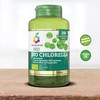 Colours Of Life Colours of Life Bio Chlorella - Integratore