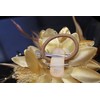 Gold Flora Feather Bead Corsage Hair Fascinator on Hairband Clip