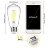 Ascher Vintage LED Edison Bulbs, 6W, Equivalent 60W, Non-Dimmable, Daylight
