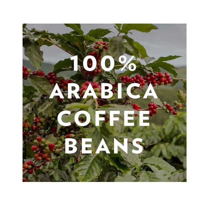 Community Coffee Café Special Decaf Ground Coffee, Medium Dark Roast,