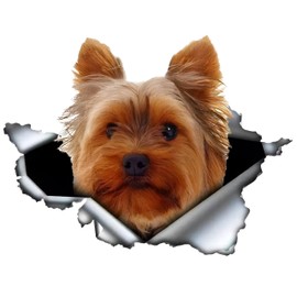 Car Sticker 22 cm (8.7 Inch) Yorkshire Terrier Sticker 3D Torn Reflective Car Sticker Yorkshire Terrier Car Sticker Pet Dog Waterproof Sticker Bumper Rear Window Decor