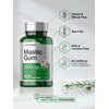 Horbäach Mastic Gum | 1500mg | 100 Capsules | Non-GMO