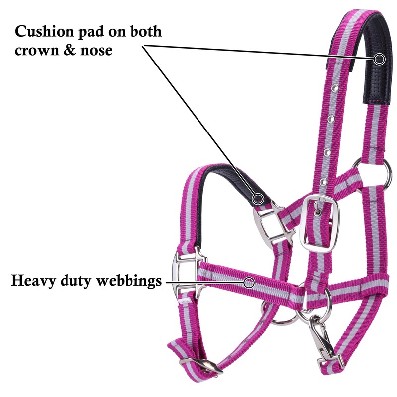 Adjustable Horse Headcollar, Training Halter, Heavy Duty Nylon Padded with