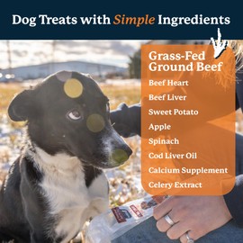 100% Human Grade Dog Jerky Treats, Air-Dried USA Grass-Fed Beef Trail Treats, All Natural Dog Jerky Treats for Training & Adventure, High-Protein Air-Dried Beef Dog Treat Sticks (25 pack)
