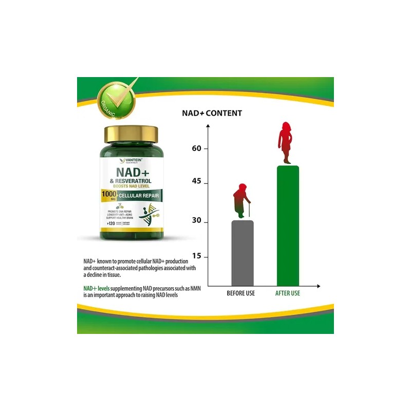 Vantein Suplemento Nad 1000mg 120 Cápsulas Precursor Nmn
