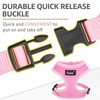 PUPTECK Soft Mesh Dog Harness and Leash Set Pet Puppy