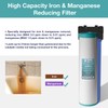 iSpring Whole House Water Filter Cartridge, Iron & Manganese Reducing
