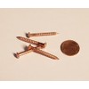 Pack of 100 Solid Copper Decorative Nails - 11 Gauge,