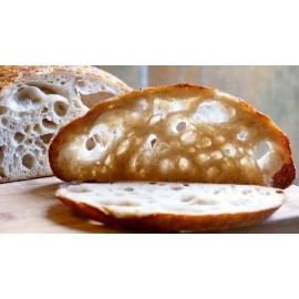 Unbranded sourdough yeast THE BEAST 16 yeast in 1 starter amazing   bonanza