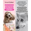 Pastelito Instantáneo para Perros, 100% Natural, Sin Gluten, Sabor Camote,