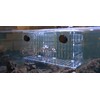 Reefing Art Magnetic Acclimation Box fish Breeder Nursery isolation Tank