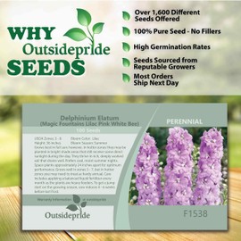 Outsidepride 100 Seeds Perennial Delphinium Magic Fountain Lilac Pink White Bee Garden Flower Seeds for Planting
